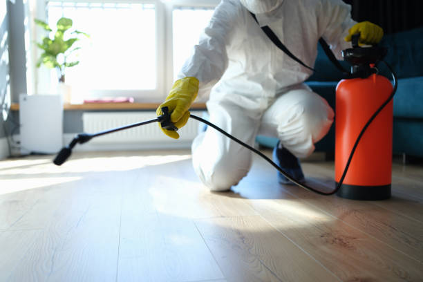 Trusted Odor Removal service in Sadieville, KY - Four Month Blood Cleanse